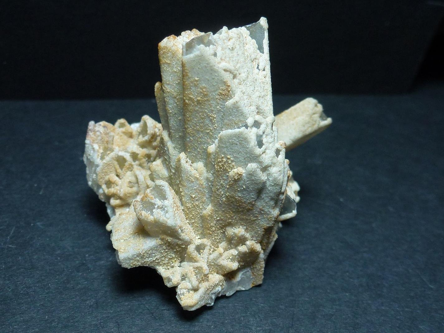 Celestina
5 x 4 cm.
(Autor: javier ruiz martin)