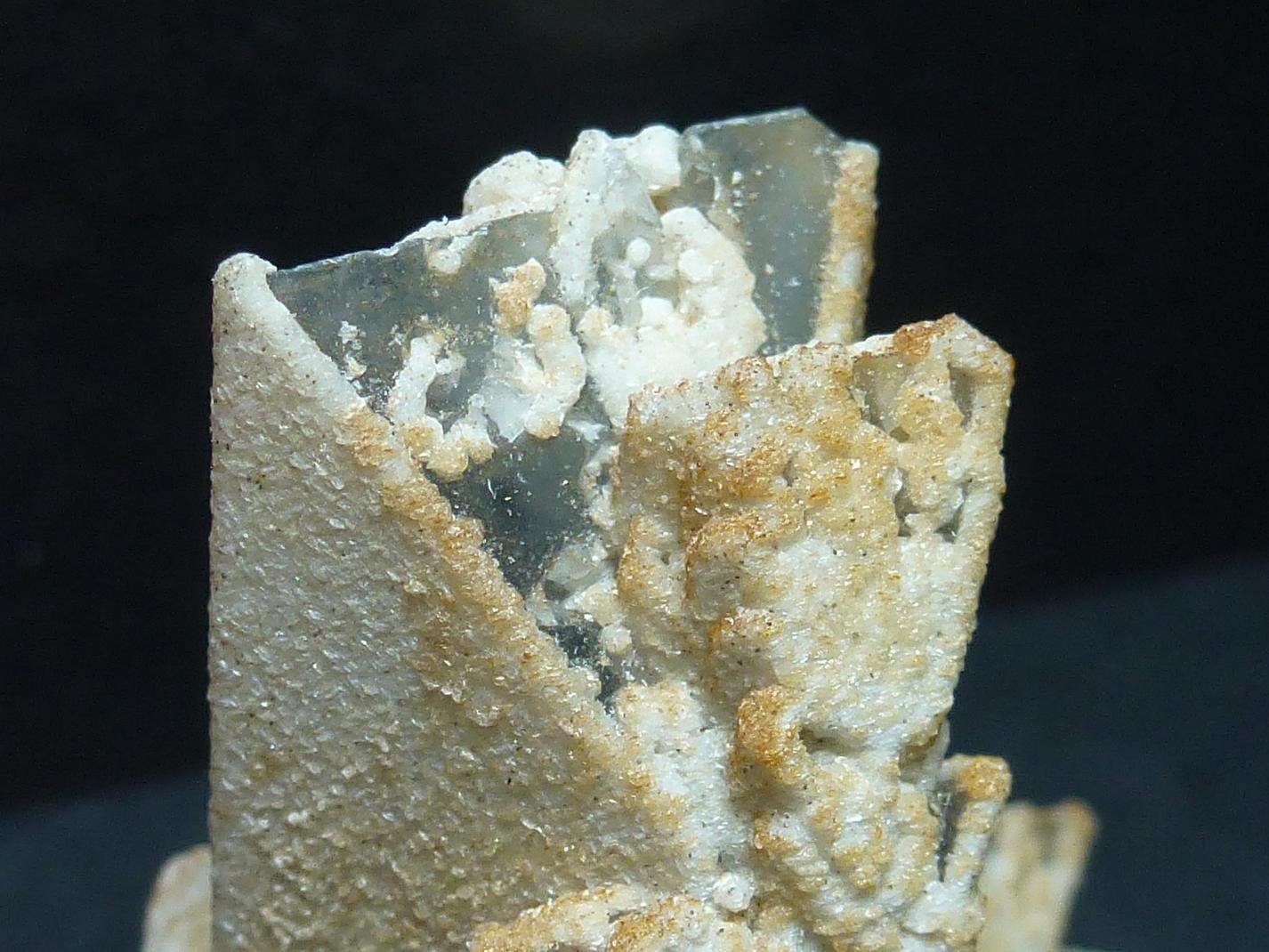 Celestina
5 x 4 cm.
(Autor: javier ruiz martin)