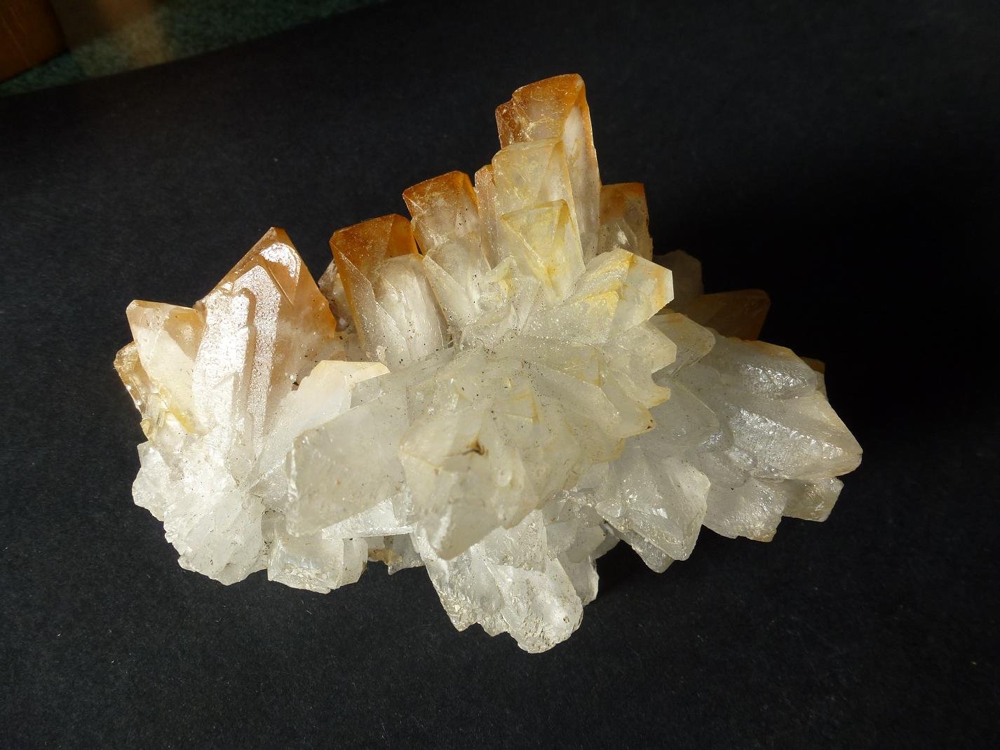 Celestina
10 x 7 cm.
(Autor: javier ruiz martin)