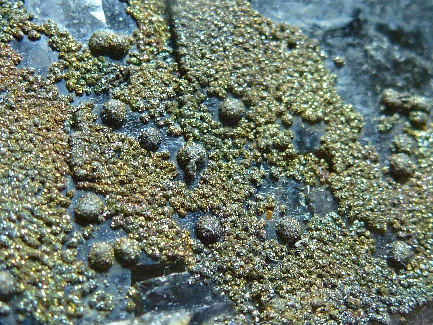 Pirita, Fluorita
6 x 6 cm. la pieza. 0,2 cm. las piritas
(Autor: javier ruiz martin)