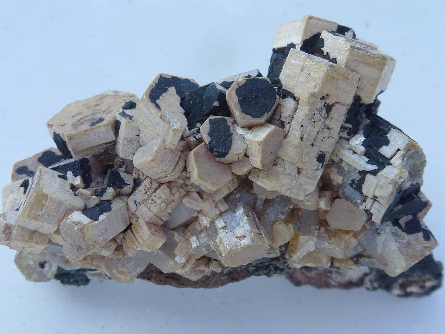 Vanadinita (variedad arsenical)
6 x 4 cm.
(Autor: javier ruiz martin)