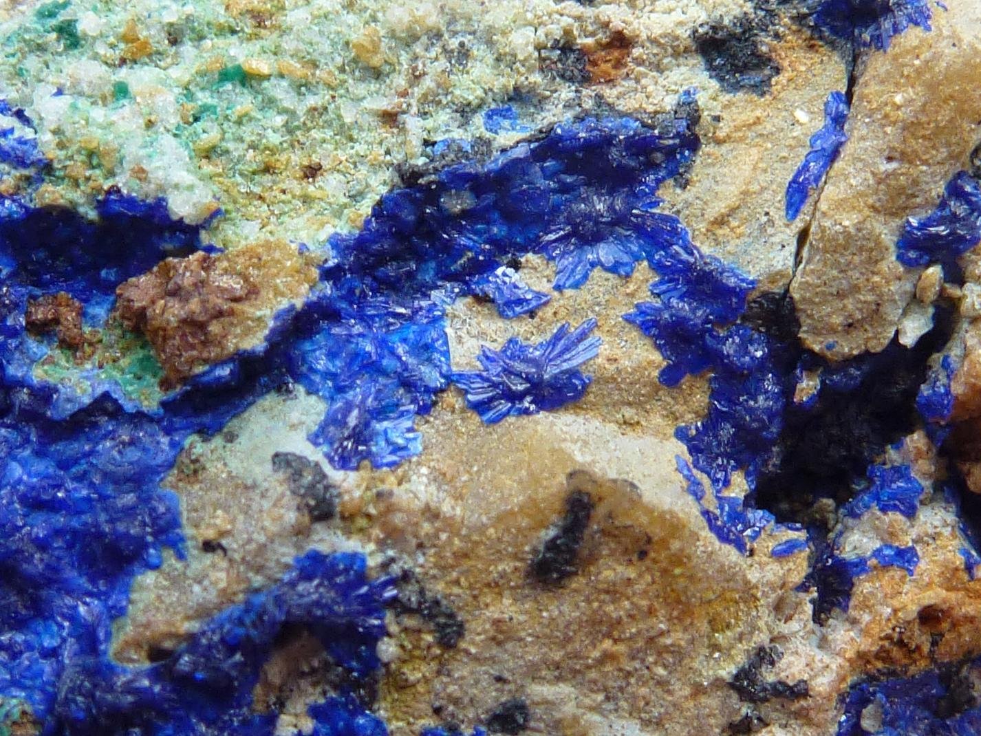 Azurita, Cornwallita
6 x 6 cm.
(Autor: javier ruiz martin)