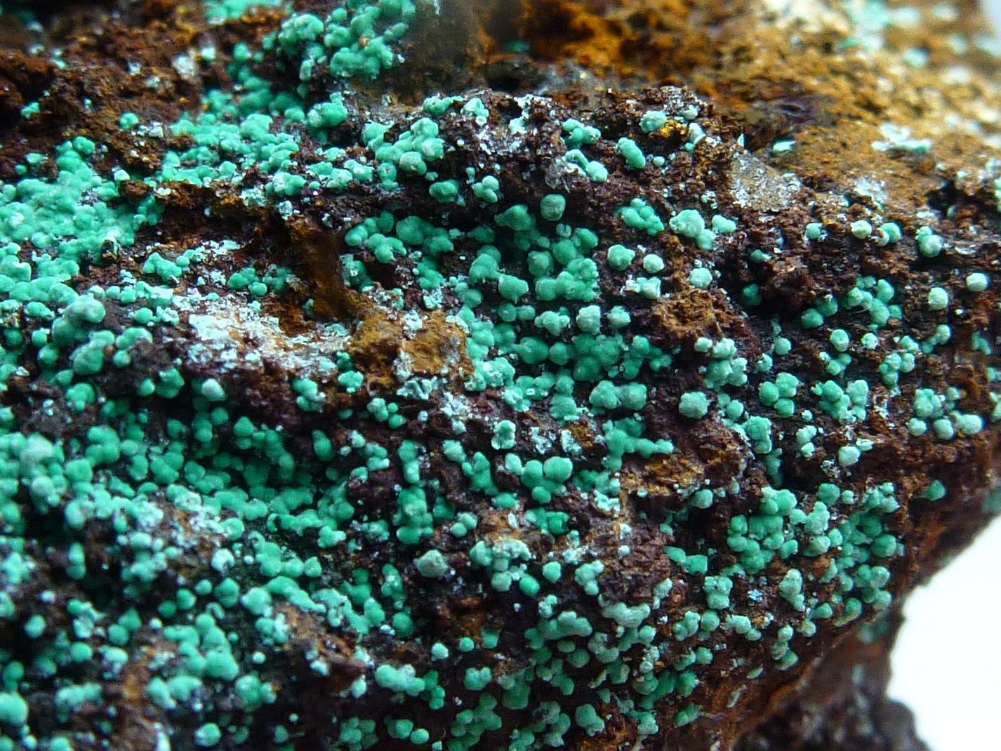 Malaquita, Alofana
3,5 x 3 cm.
(Autor: javier ruiz martin)