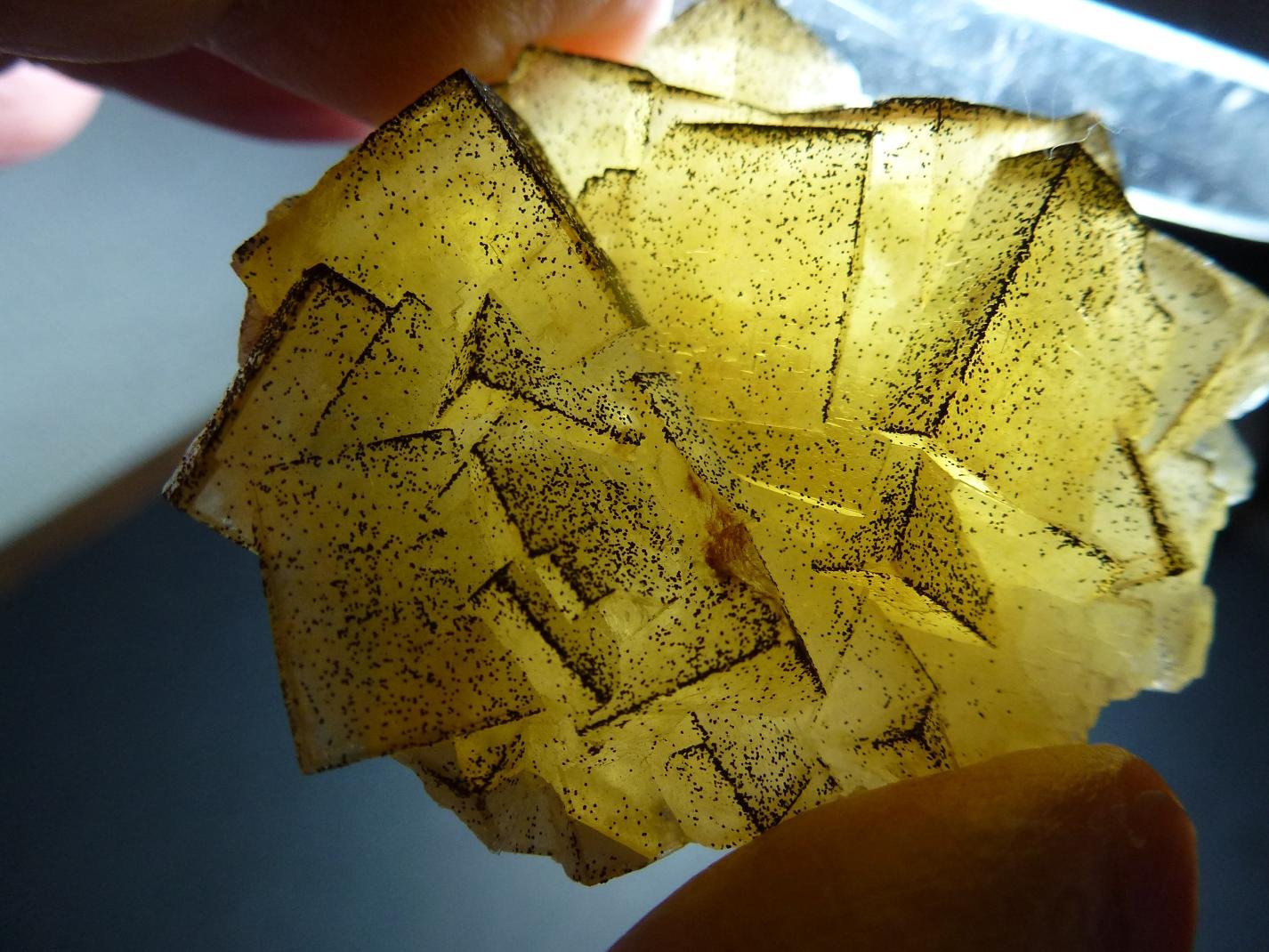 Fluorita, Pirita
5 x 5 cm.
(Autor: javier ruiz martin)