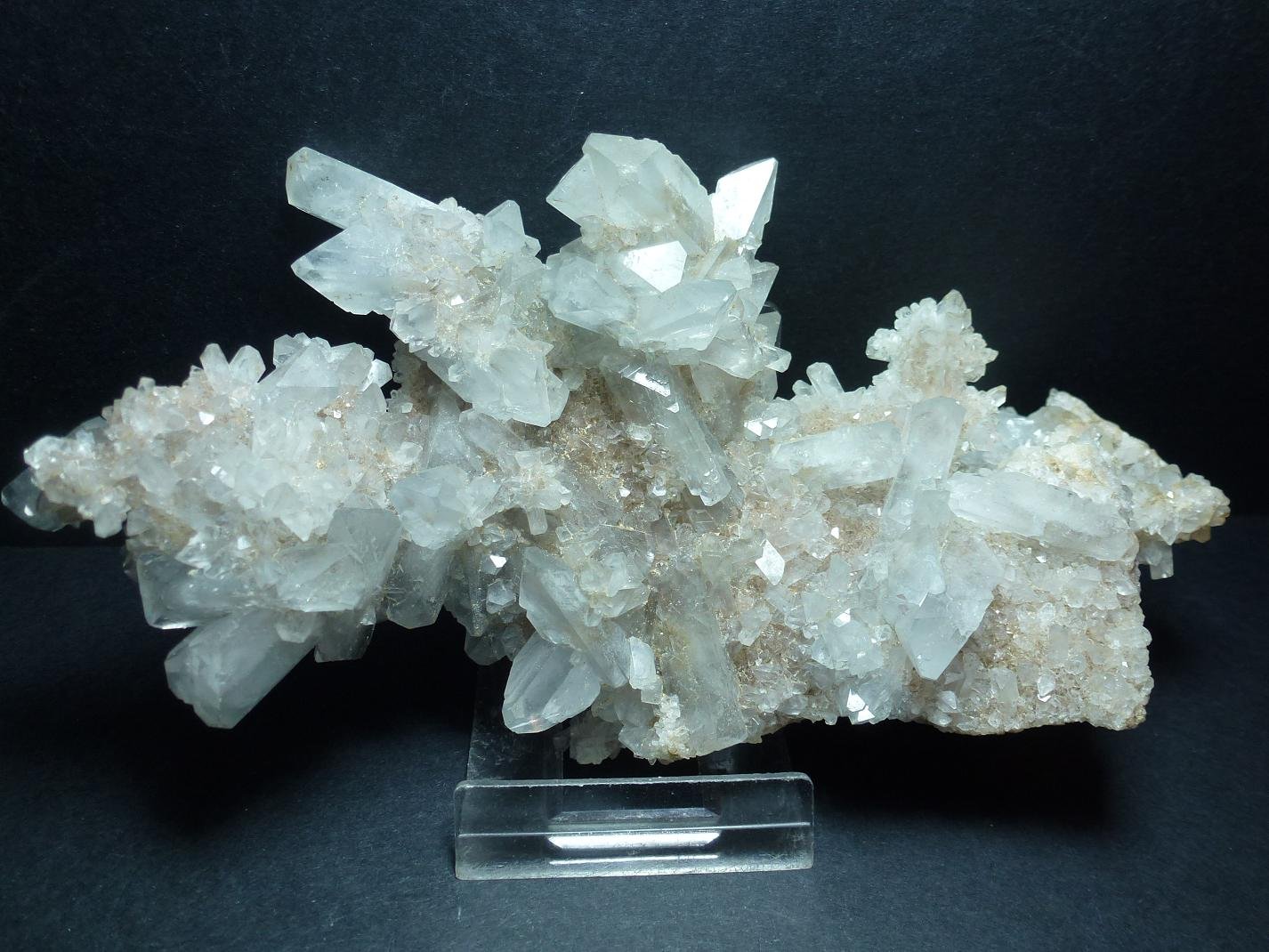 Celestina
15 x 7 cm.
(Autor: javier ruiz martin)