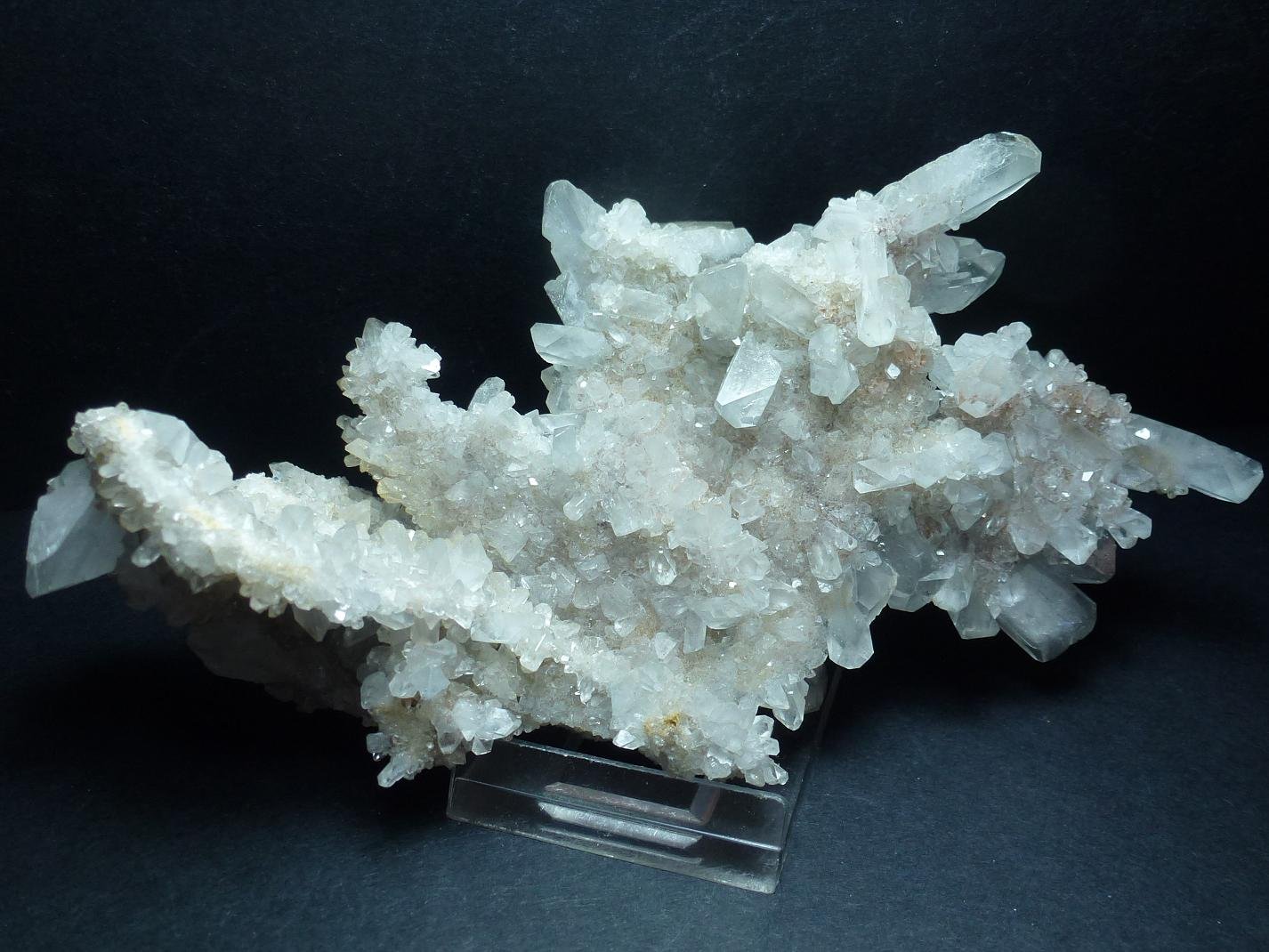 Celestina
15 x 7 cm.
(Autor: javier ruiz martin)