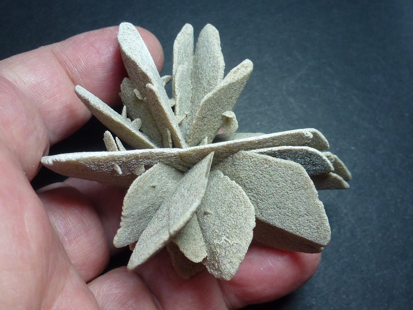 Yeso
6 x 6 cm.
(Autor: javier ruiz martin)