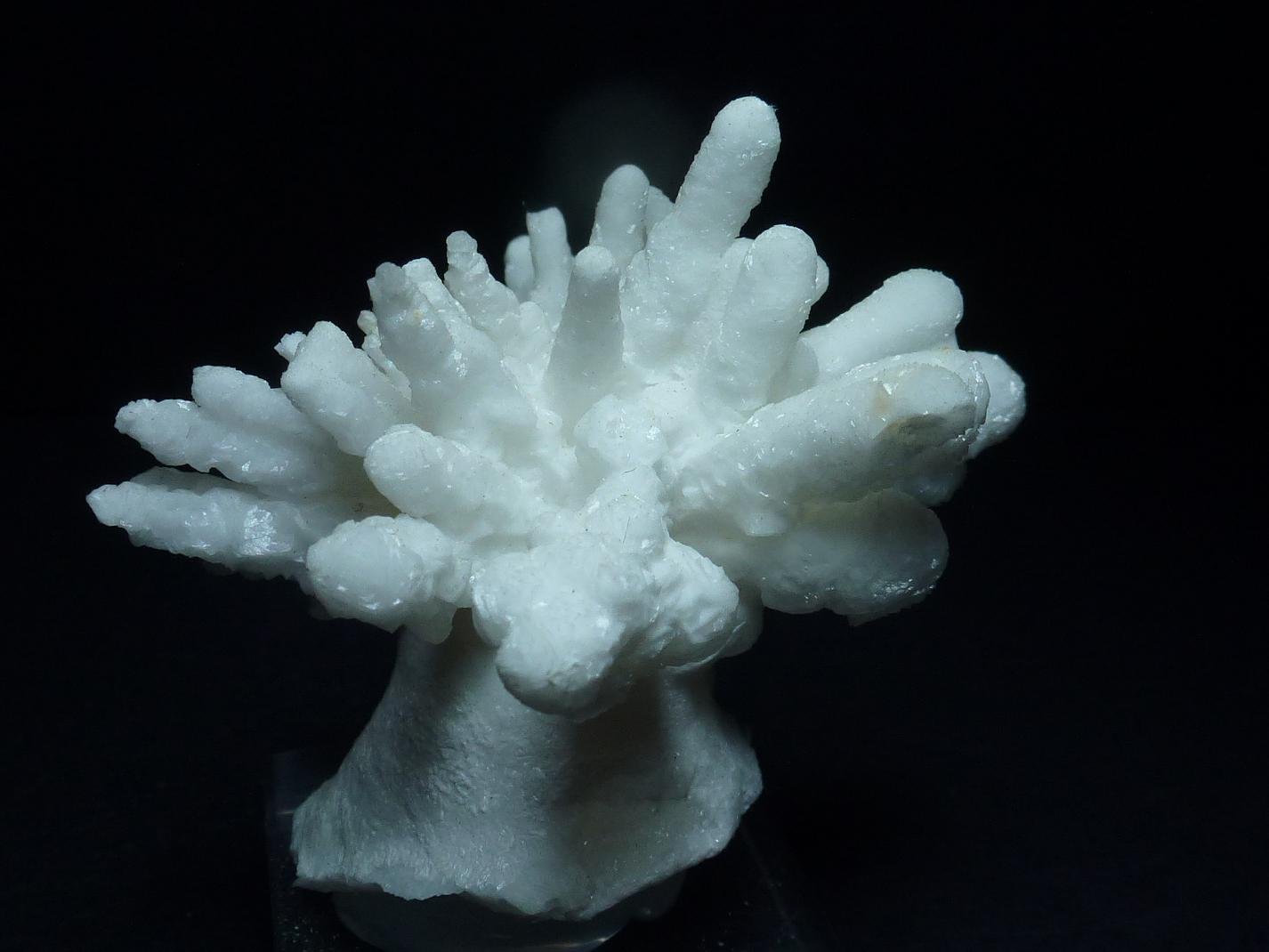Aragonito
6 x 4,5 cm.
(Autor: javier ruiz martin)