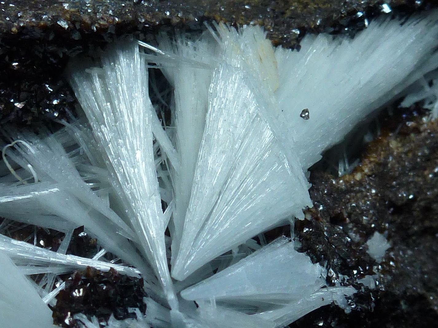 Celestina, Siderita
12 x 7 cm.
(Autor: javier ruiz martin)