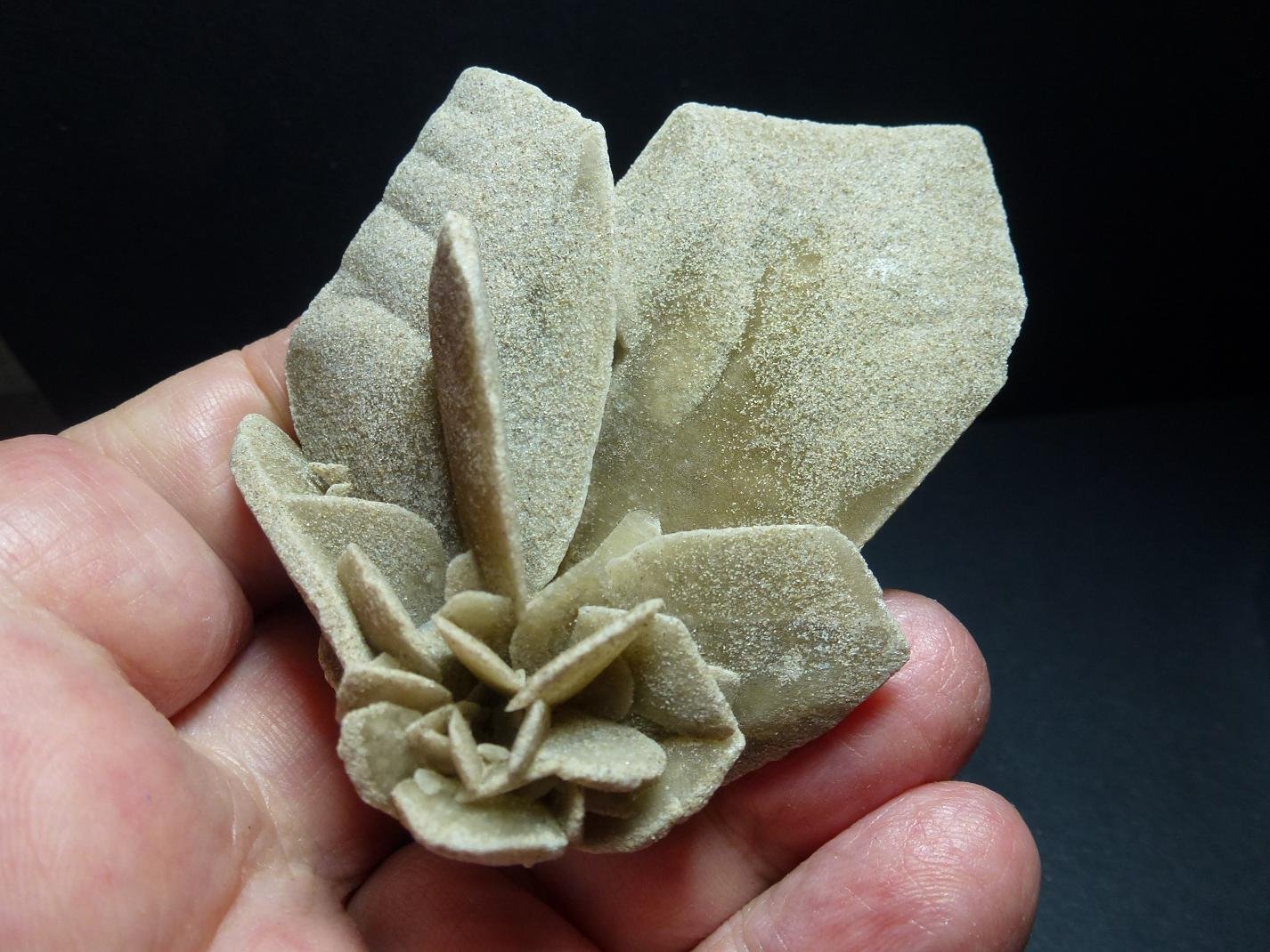 Yeso
7 x 4 cm.
(Autor: javier ruiz martin)