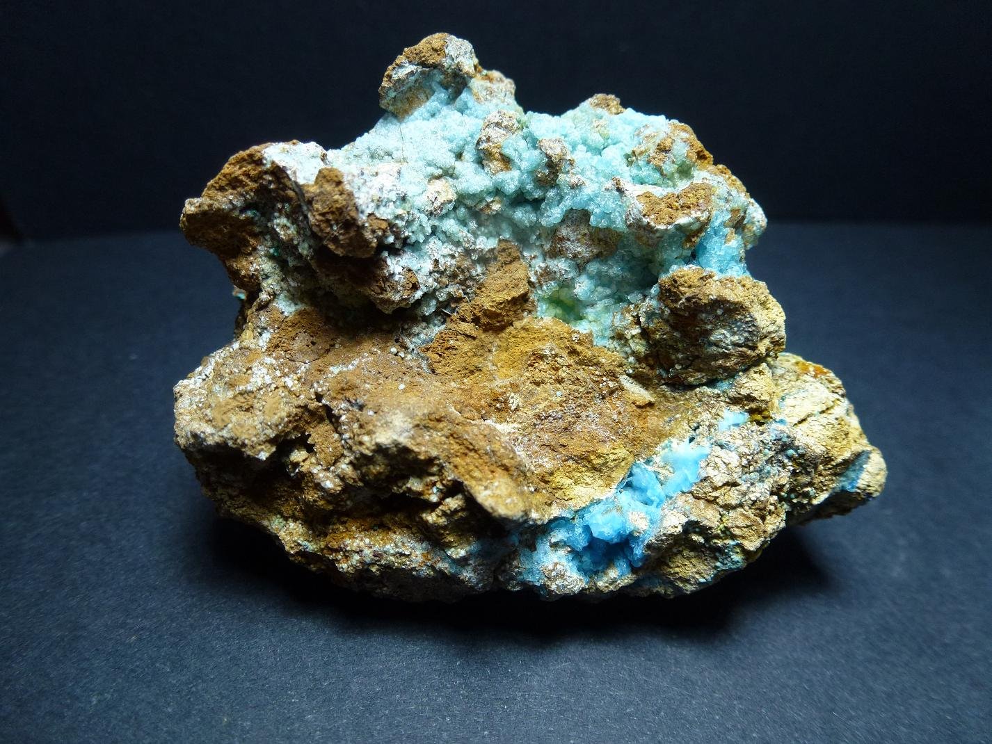 Alofana
6 x 4 cm.
(Autor: javier ruiz martin)
