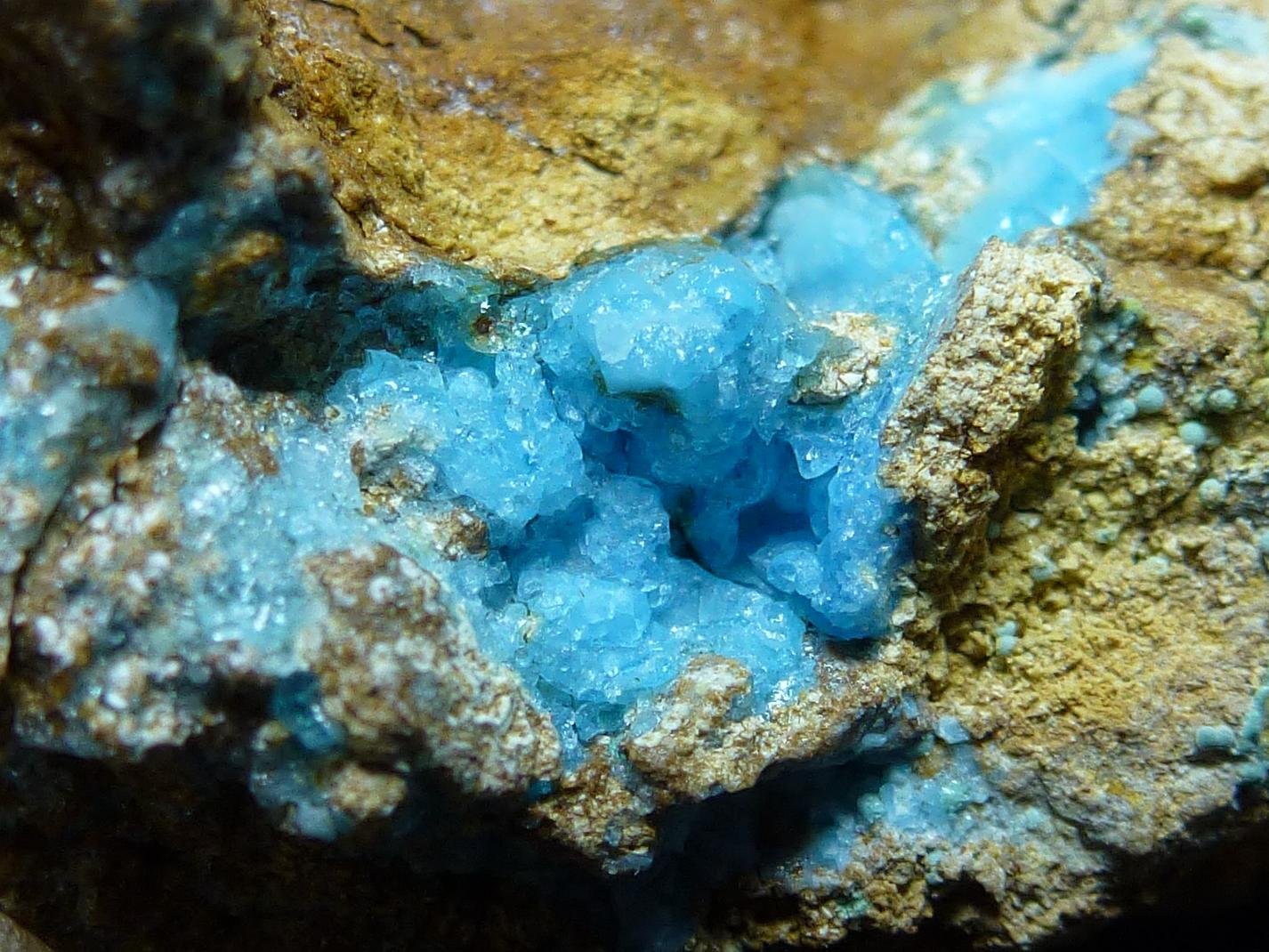 Alofana
6 x 4 cm.
(Autor: javier ruiz martin)