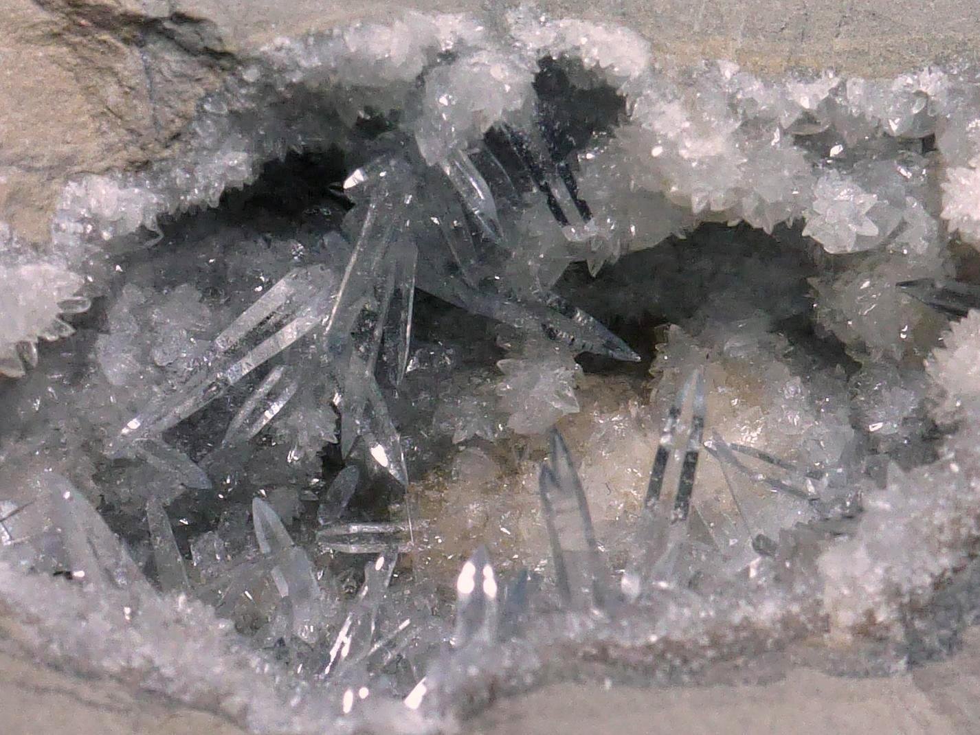 Celestina
7 x 5 cm.
(Autor: javier ruiz martin)