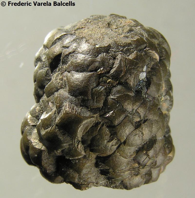Pirita
2 x 2 x 1,7 cm
(Autor: Frederic Varela)