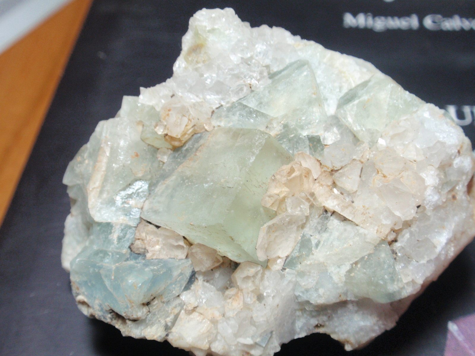 Fluorita
15x15 mm (El cristal)
(Autor: Ignacio)
