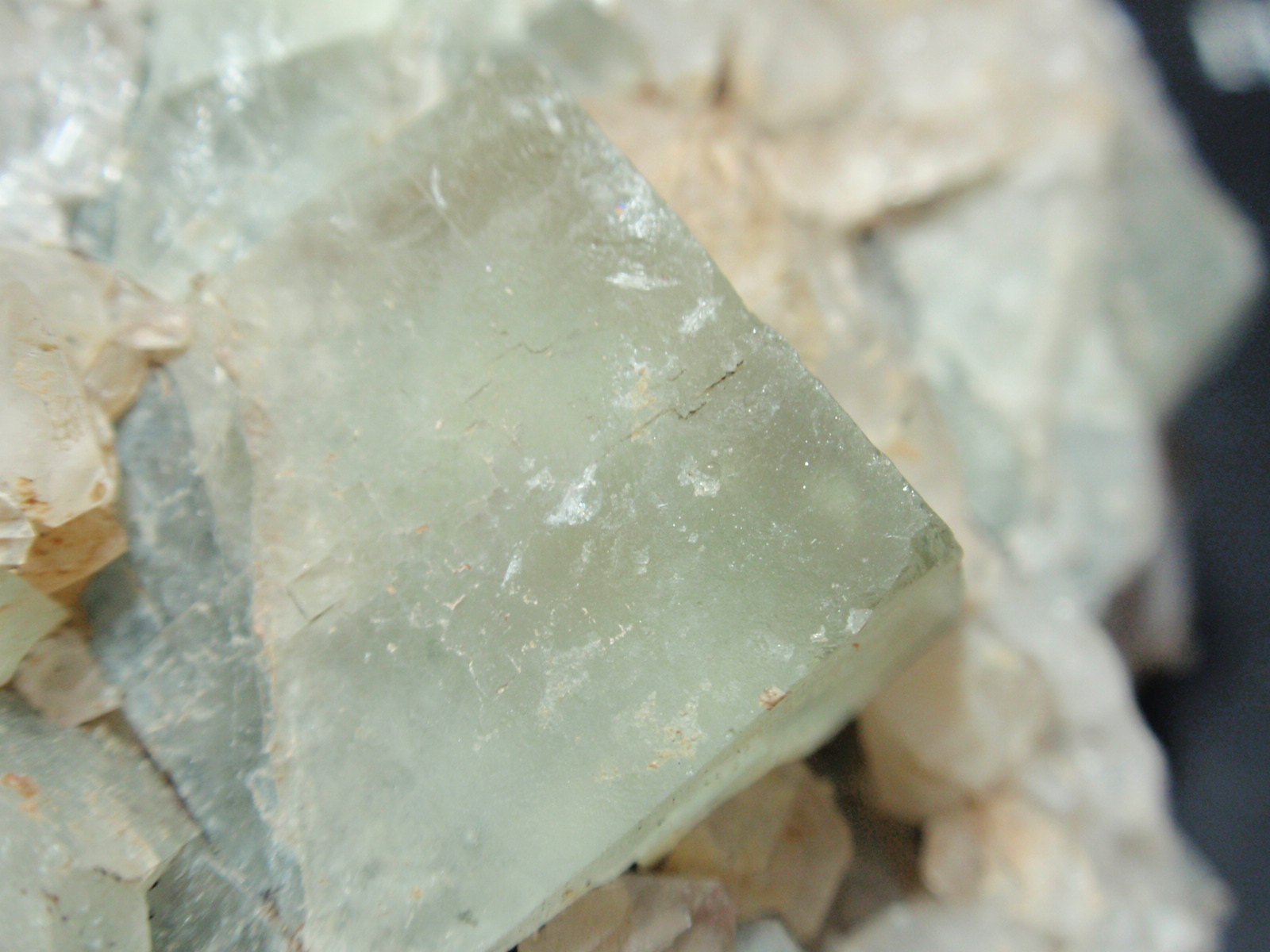 Fluorita
15x15 mm
(Autor: Ignacio)