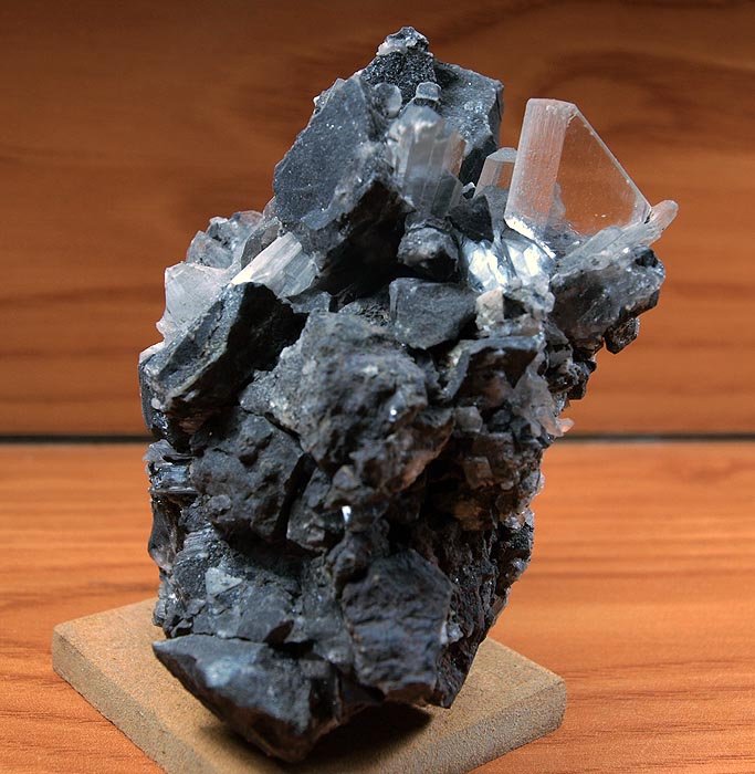 Yeso
6 x 8 cm.
(Autor: Pedro Antonio López)