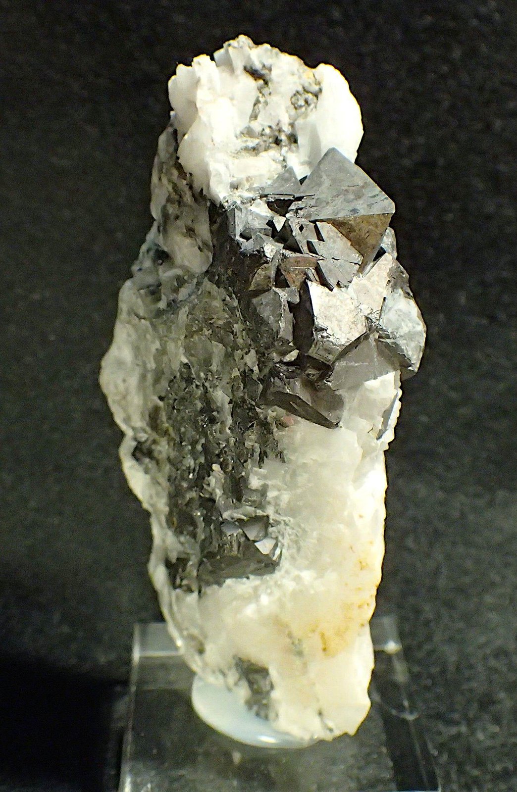 Gersdorffita
6,8 x 3,5 x 1,8 cm.
(Autor: Frederic Varela)