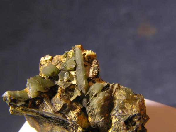 Cuarzo (variedad prasio)
(Autor: Carlos J. Rodríguez)