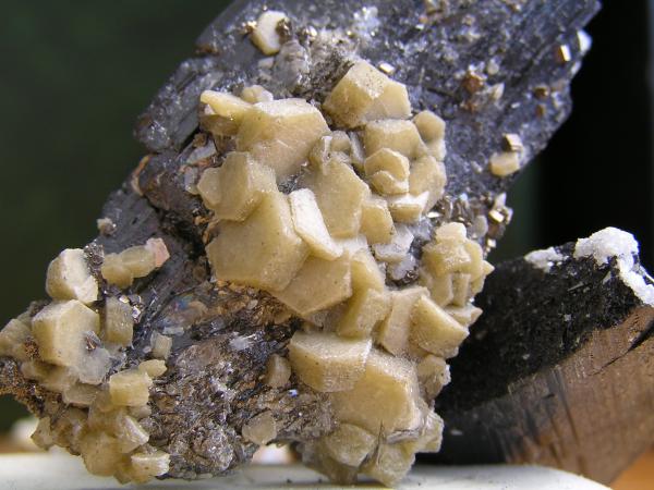 Siderita sobre Ferberita
Diámetro cristal mayor aprox 8 mm.
(Autor: Carlos J. Rodríguez)