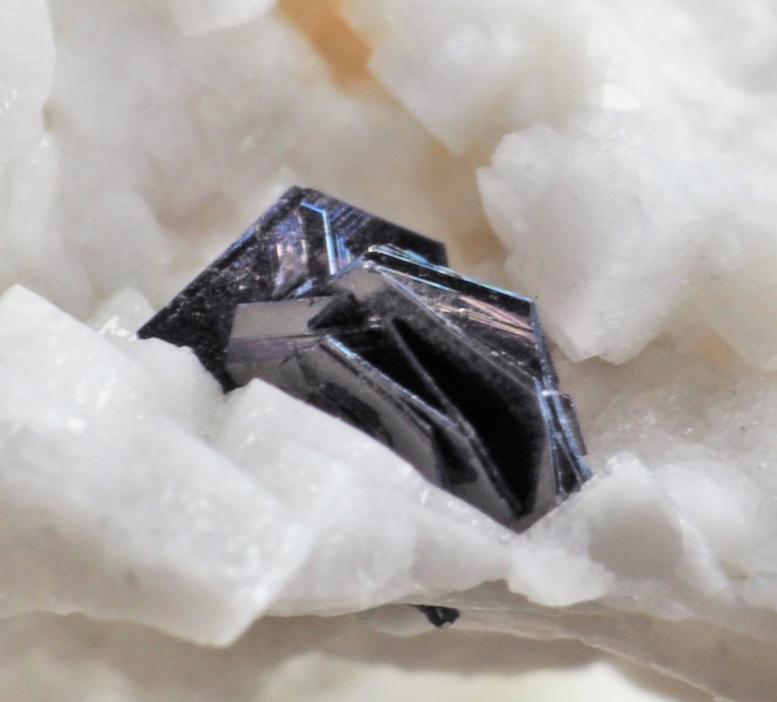 Molibdenita
3 mm
(Autor: Félix Marcos)