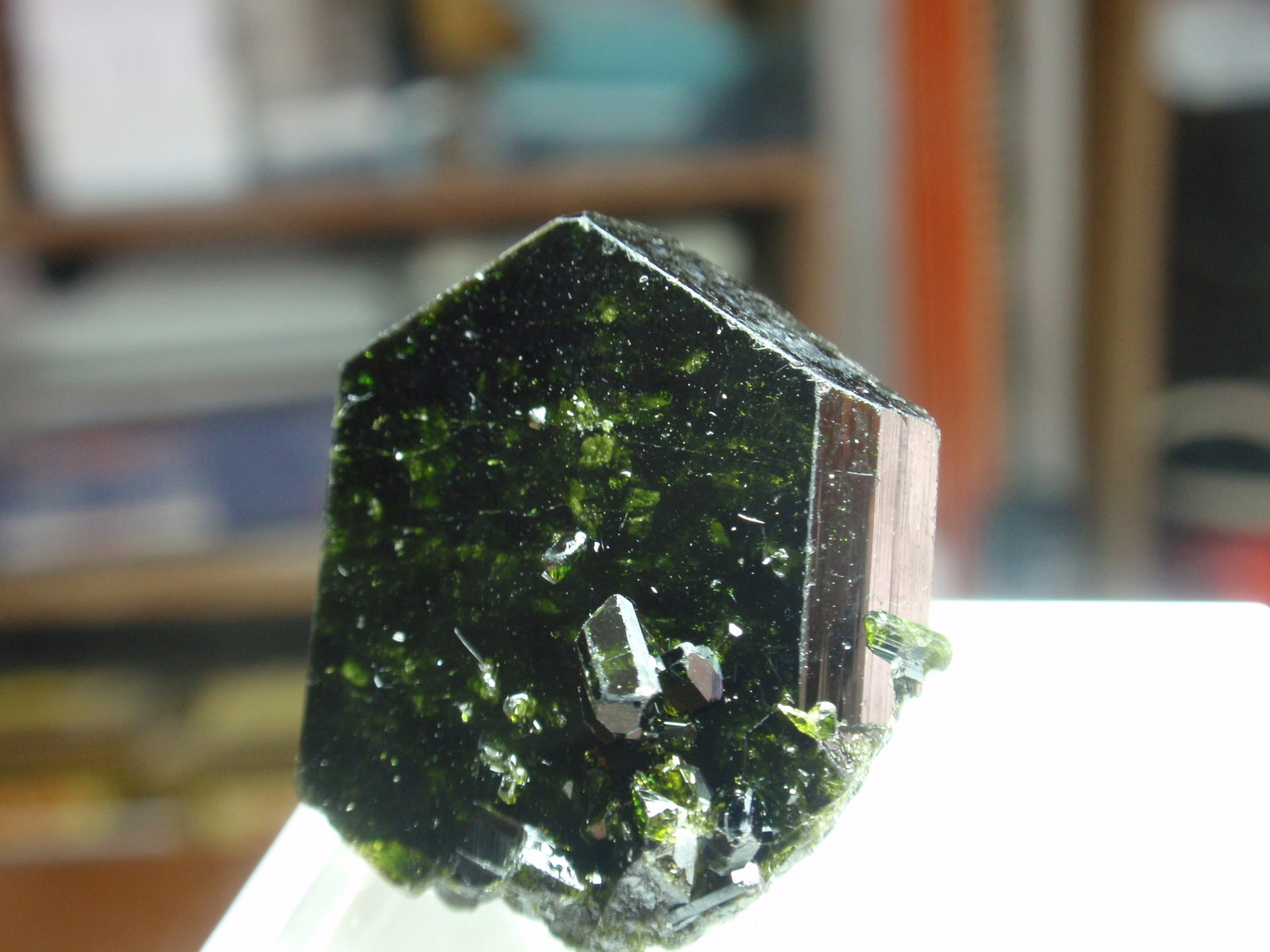 Epidota
25x25 mm
(Autor: Ignacio)