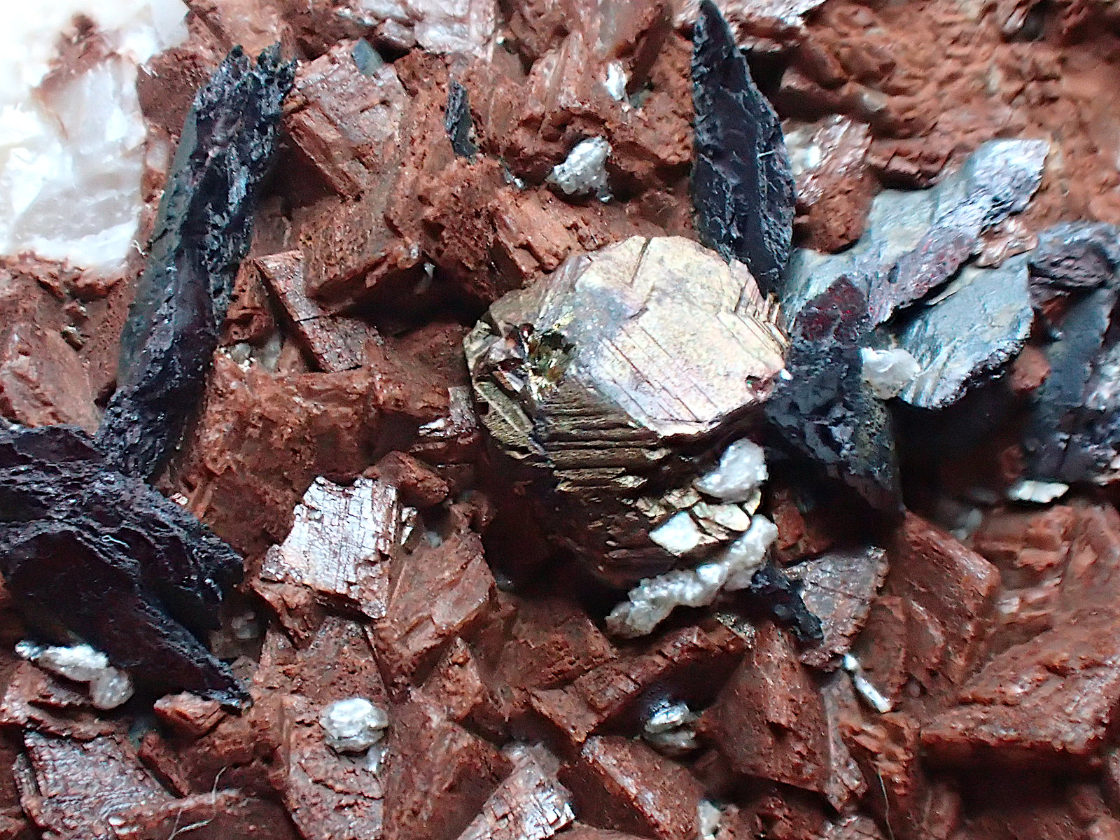 Calcopirita, dolomita, siderita
Cristal de calcopirita 0,3x0,3 cm
(Autor: Frederic Varela)