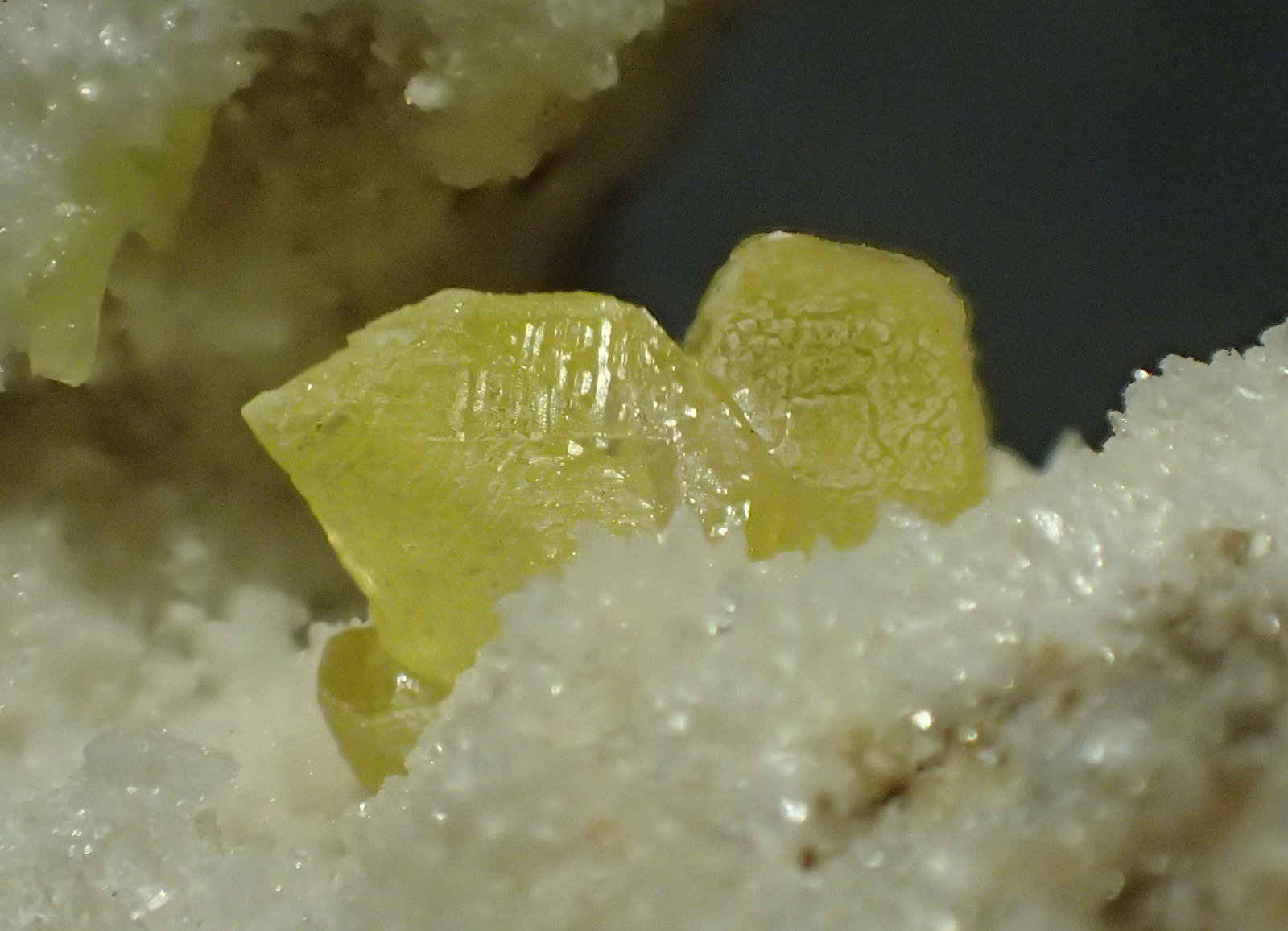 Azufre, calcita
0,5 x 0,3 cm (grupo cristales)
(Autor: Frederic Varela)