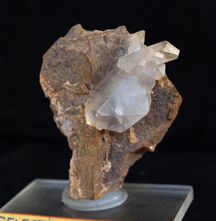 Celestina
Largo 3.5 cm.
(Autor: Pedro Antonio)