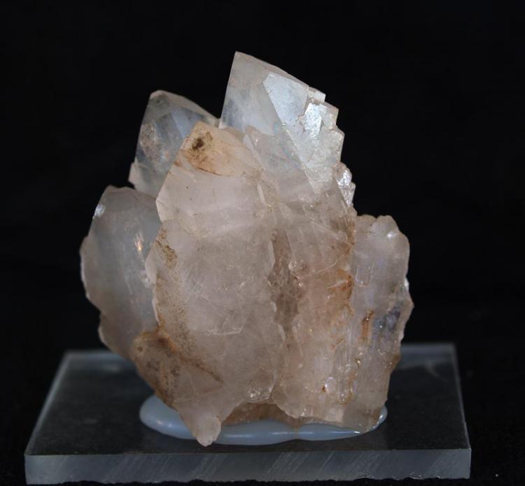 Celestina
4 cm. x 4.5 cm.
(Autor: Pedro Antonio)