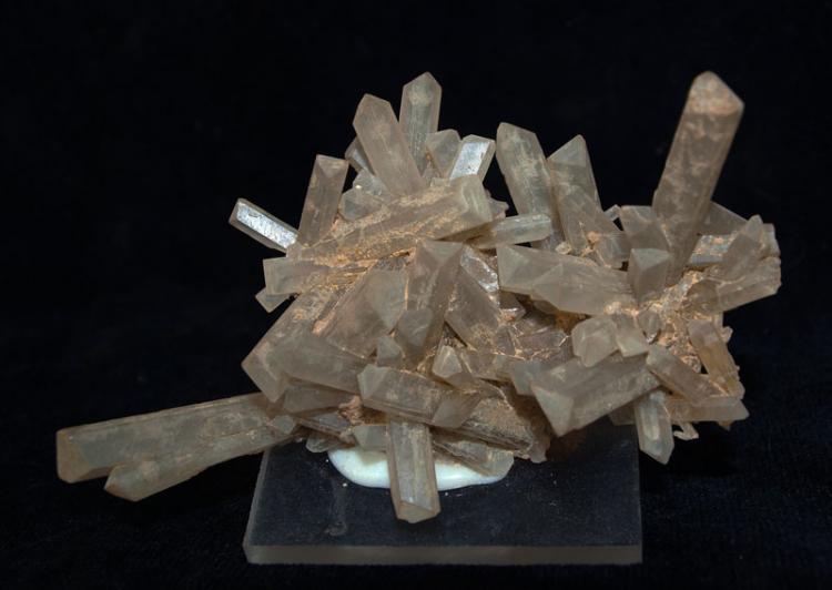Celestina
10 x 6 cm.
(Autor: Pedro Antonio)