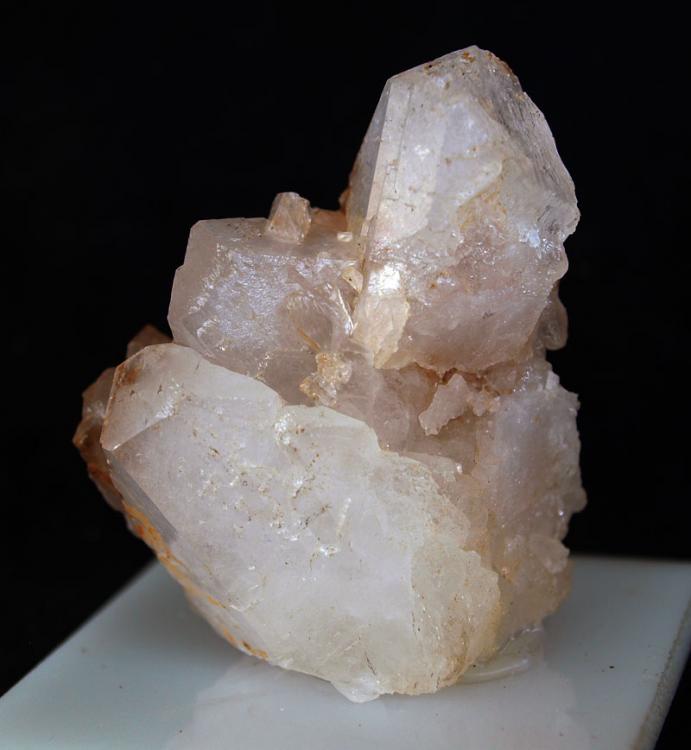 Celestina
5,5 x 3,5 cm.
(Autor: Pedro Antonio)