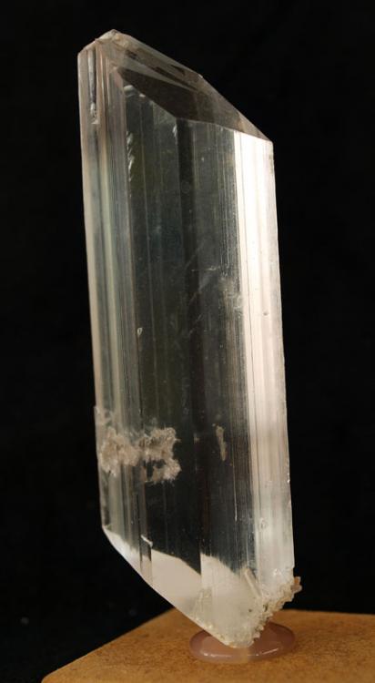 Yeso
9 x 3,5 cm
(Autor: Pedro Antonio)
