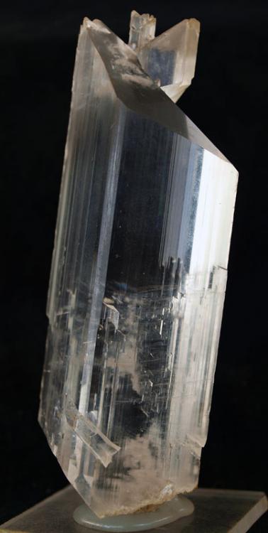 Yeso
11 x 5 cm.
(Autor: Pedro Antonio)