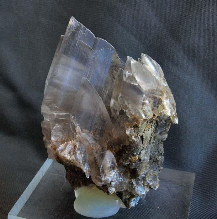 Yeso
7 x 4.5 cm.
(Autor: Pedro Antonio)