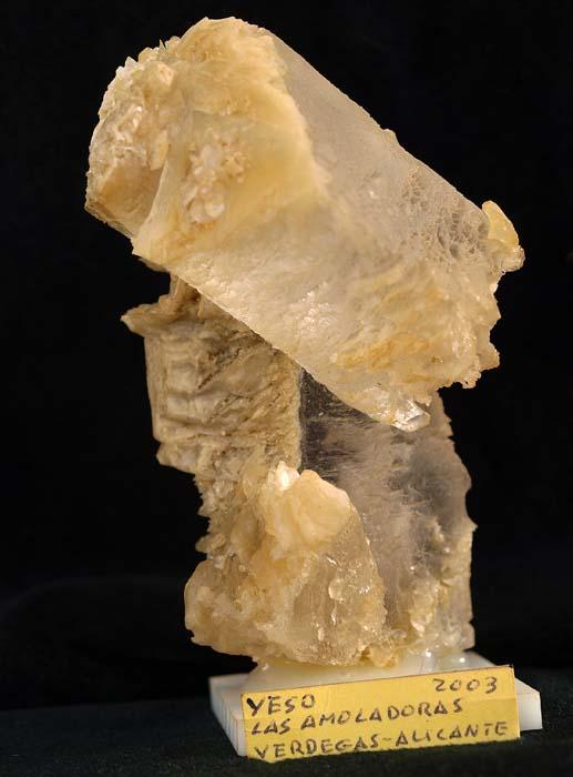 Yeso
9, 5 x 6 cm.
(Autor: Pedro Antonio)