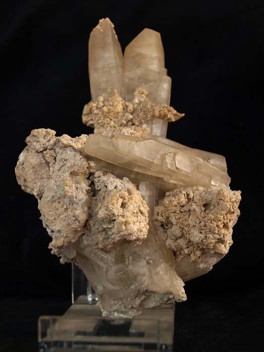 Celestina
12 x 8 cm.
(Autor: Pedro Antonio)