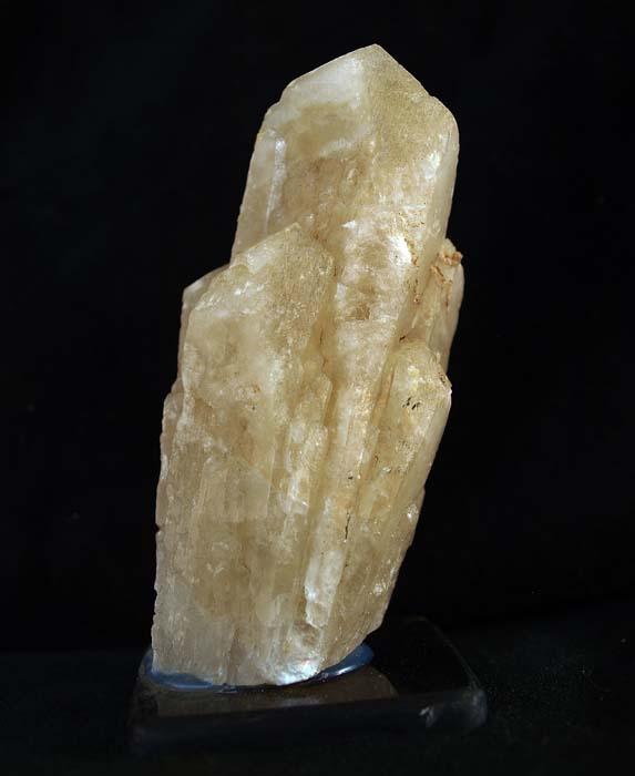 Celestina
10 x 5 cm
(Autor: Pedro Antonio)