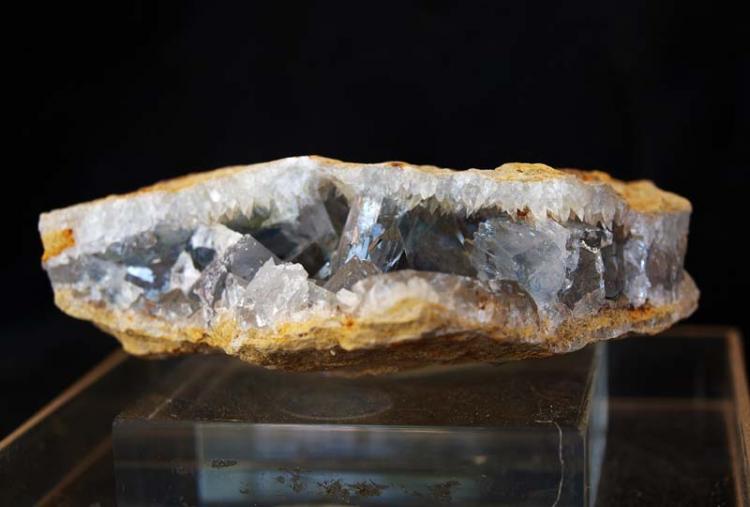 Celestina
7,5 x 2,5 cm
(Autor: Pedro Antonio)