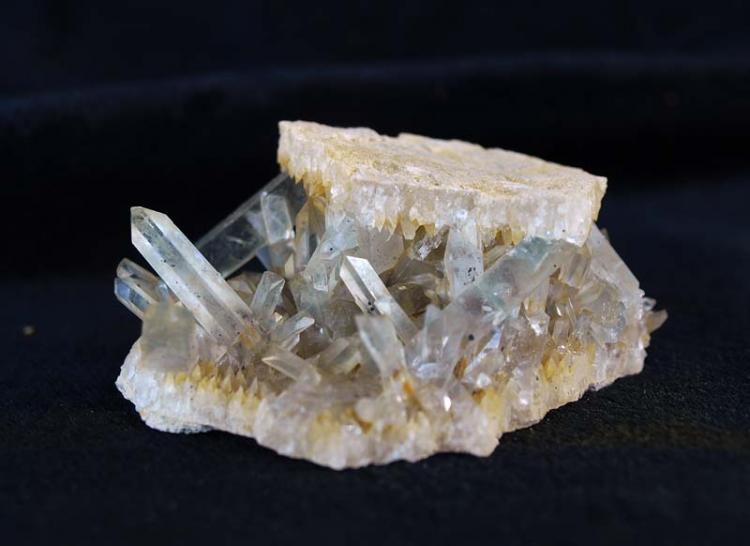 Celestina
5 x 2 cm.
(Autor: Pedro Antonio)