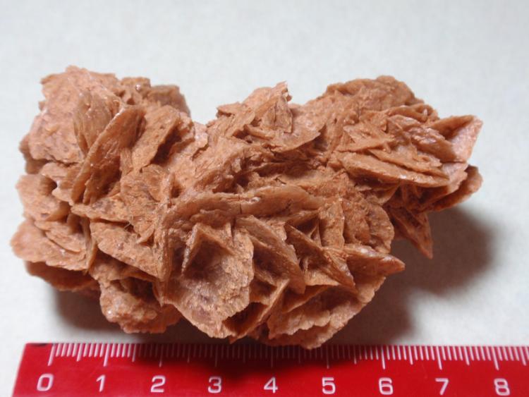 Yeso
8x5 cm.
(Autor: Ignacio)