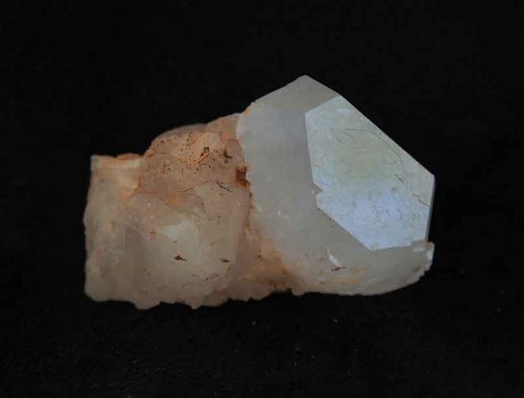 Celestina
4 x 2,5 cm.
(Autor: Pedro Antonio)