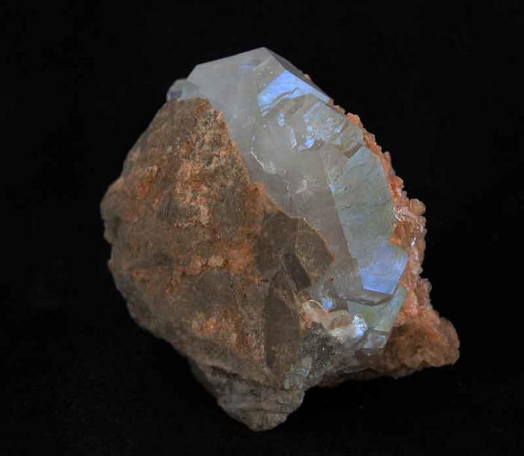Celestina
5 x 4,5 cm
(Autor: Pedro Antonio)
