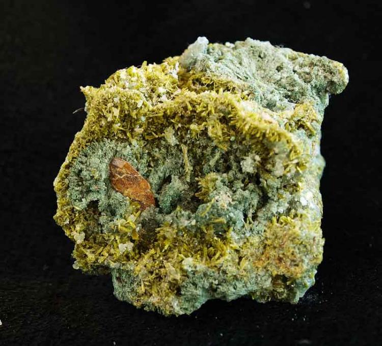 Titanita
3,5 x 3,5 cm.
(Autor: Pedro Antonio)