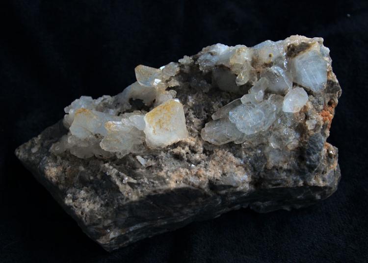 Celestina
10 x 5 cm
(Autor: Pedro Antonio)