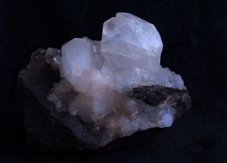 Celestina
7 x 6 cm.
(Autor: Pedro Antonio)