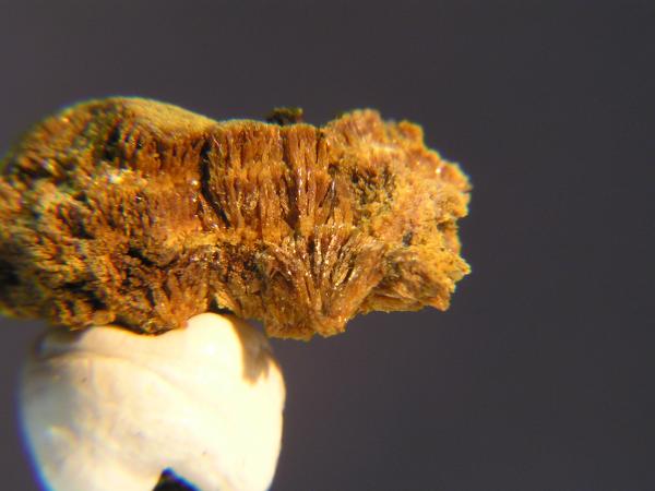Stewartita
(Autor: Carlos J. Rodríguez)