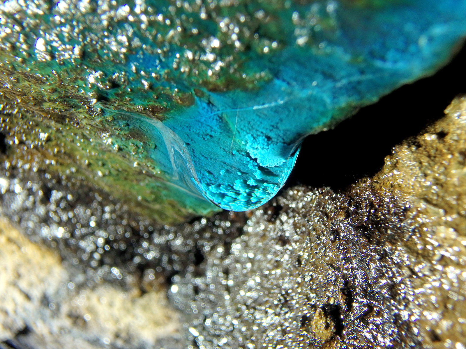 Calcantita
Ancho en el plano de enfoque 2cm
(Autor: Eloi)