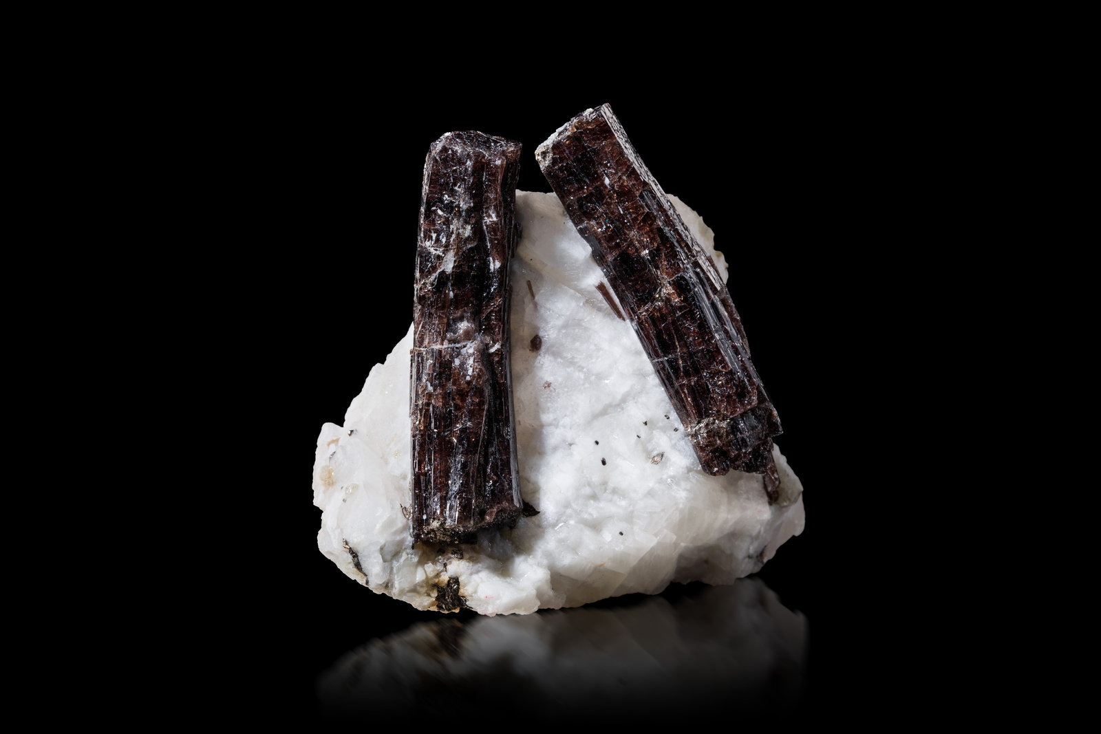 Painita
5.5 x 3 x 5 cm / Cristal principal: 4 cm.
(Autor: Museo MIM)