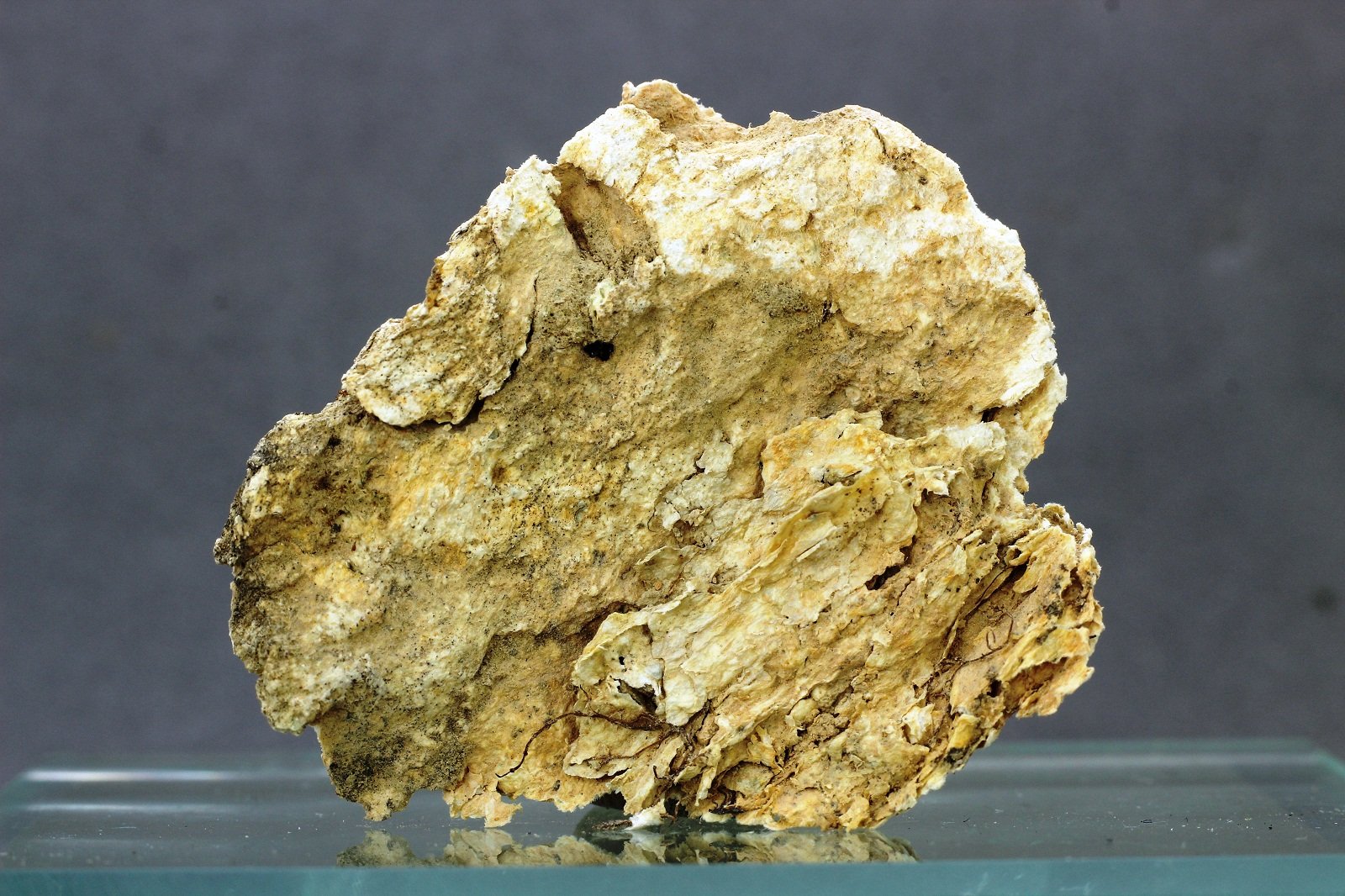 Palygorskita
40x33 mm
(Autor: Juan Espino)